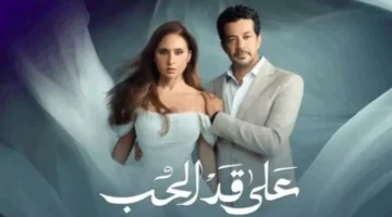 القنوات ومواعيد عرض الحلقة 29 من مسلسل «على قد الحب»